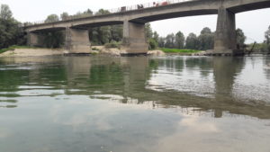 Pulisci e Corri Ponte Po Carmagnola fototrappole