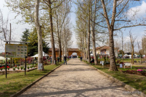 Ortoflora e Natura Carmagnola 2019 Parco Cascina Vigna