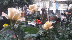 Rose al Pastis