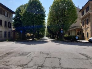 carmagnola alberate